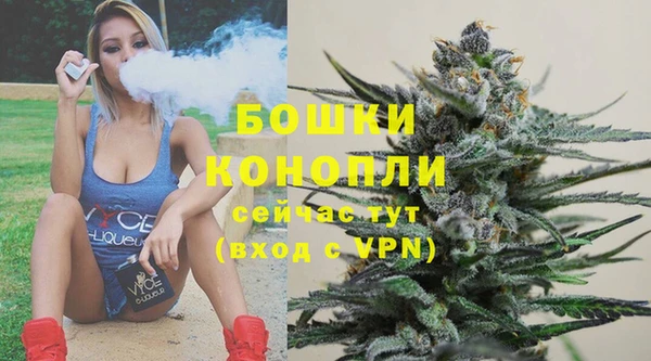герыч Ельня
