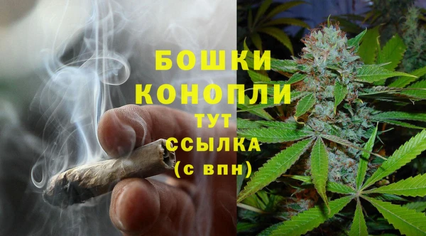 МДПВ Елизово