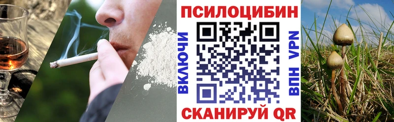 OMG зеркало Красный Кут Псилоцибиновые грибы Magic Shrooms